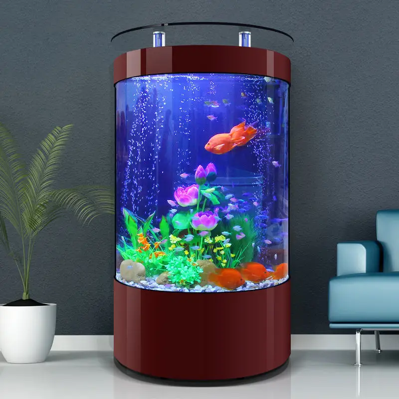 Aquarium en verre debout au sol semi-transparent, salon commun, bel aquarium semi-transparent