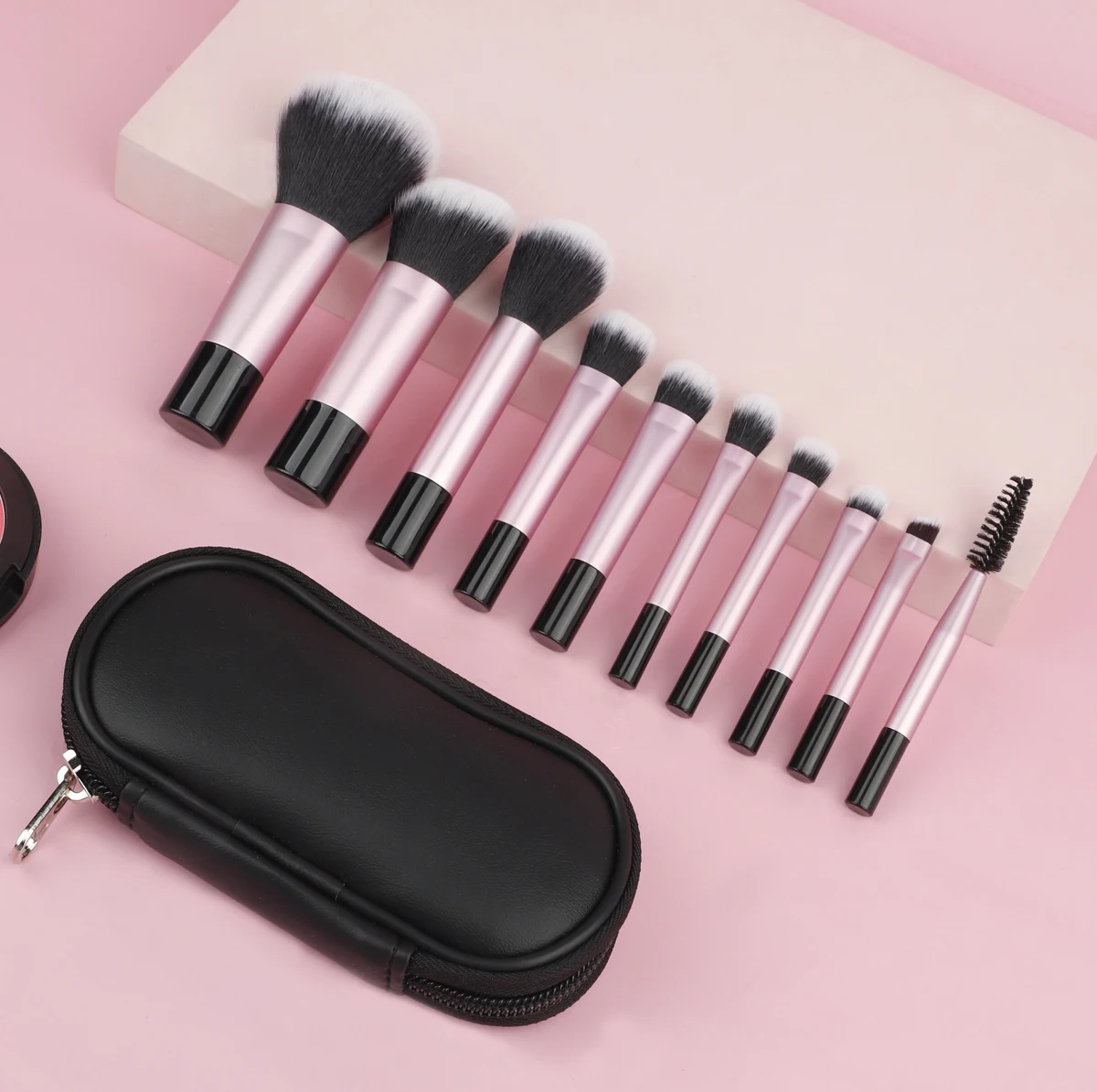 RANCAI Makeup Brush Sets,10pcs Plastic mini with bag multifunctional Makeup Brush at home or On-the-Go