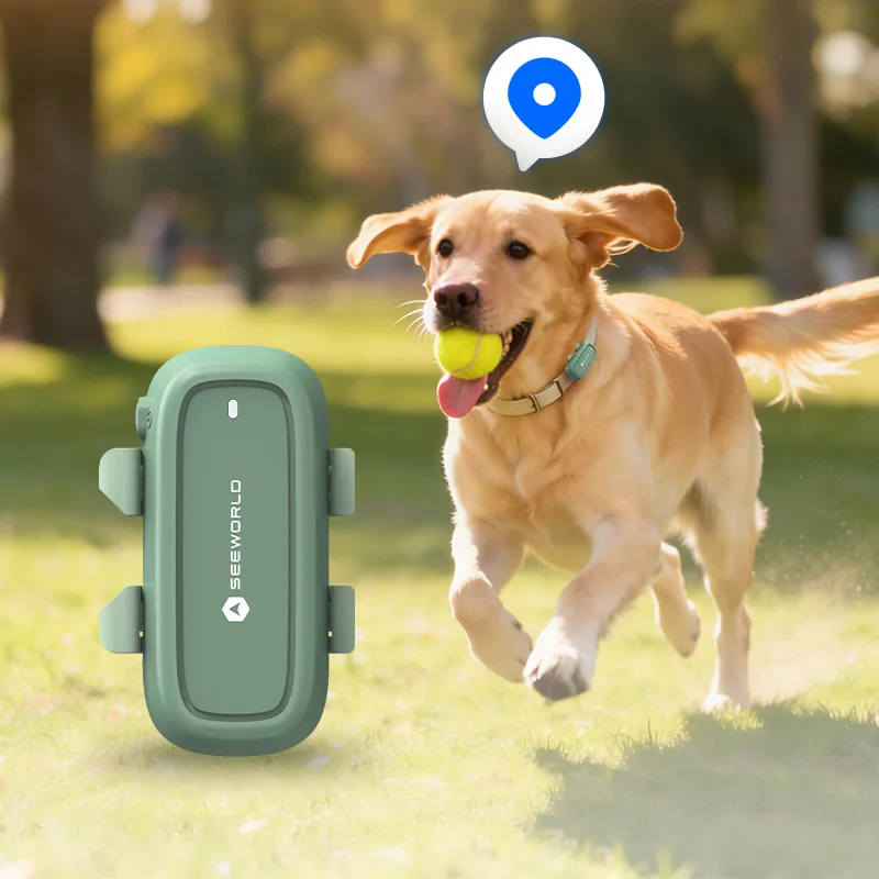 GPS Collar for Dogs - Long Range 4G Pet Tracker with Beidou, IP67 Waterproof, Health Monitoring & Geo-Fence