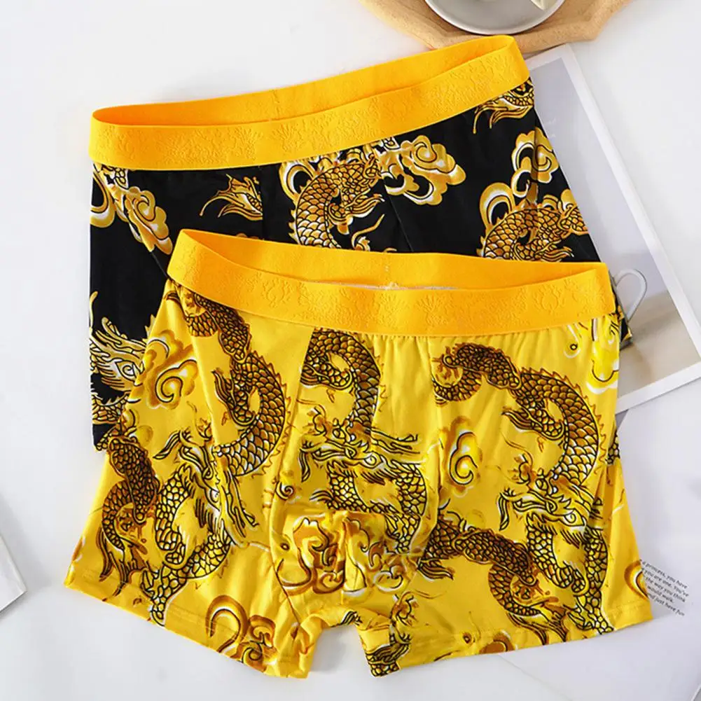 2024 Men Dragon Boxer Briefs Underwear Year Of The Dragon Boxer Briefs Mid-rise Graphene Dragon Pattern Boxer Shorts Men Boxers