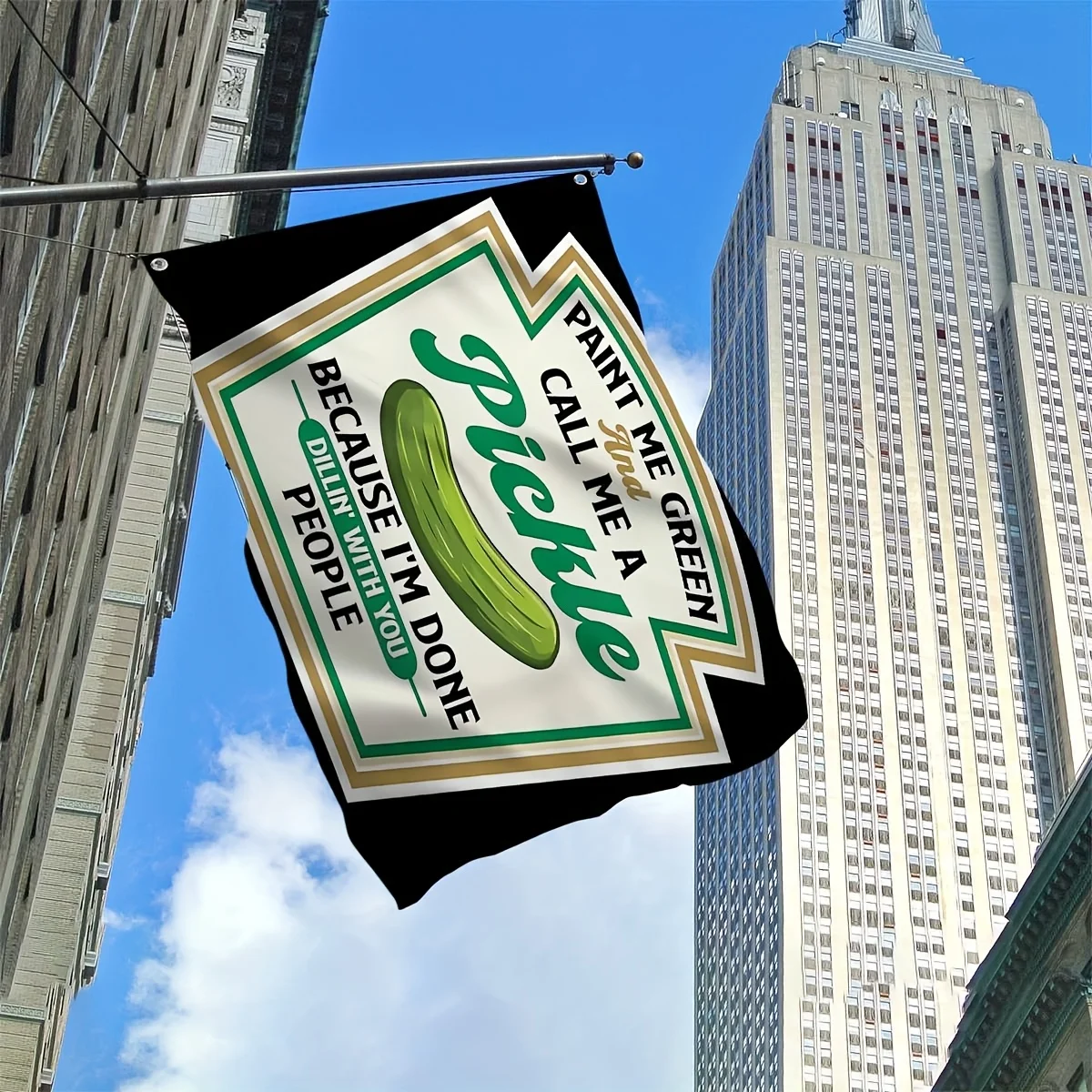 Pickle Lover Flag Funny Quote Outdoor Garden Yard Decorative Banner Single Sided Print
