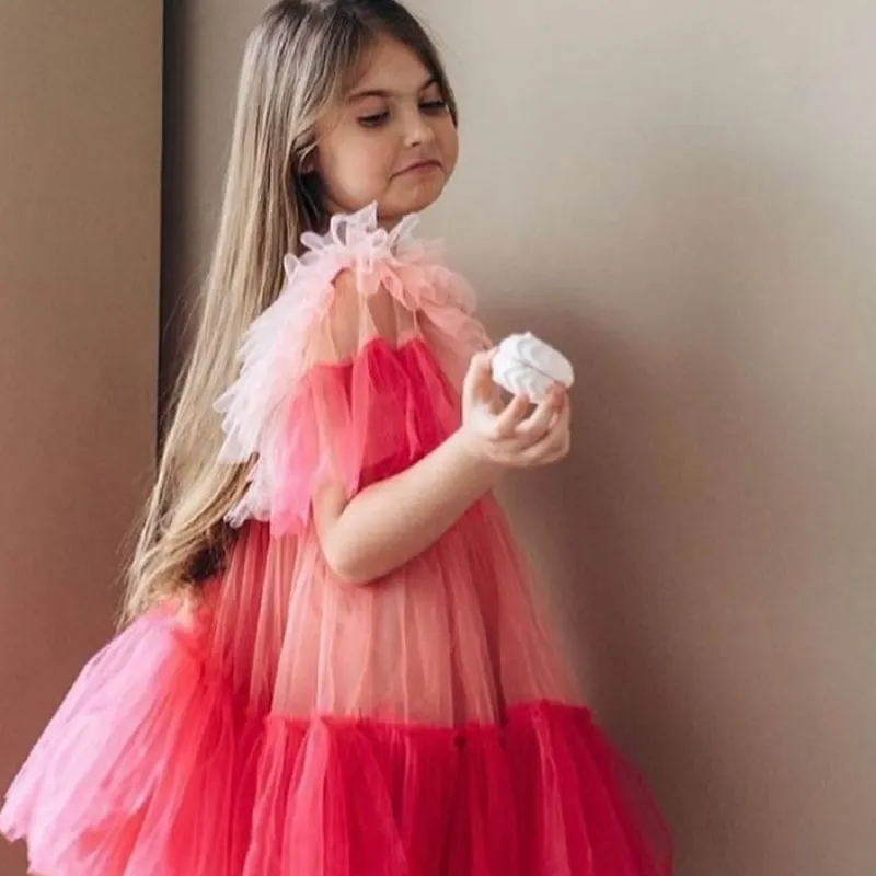 Baby Girl Princess Ruffle Tutu Dress Infant Toddler Summer Spring Autumn Tulle Vestido Party Pageant Birthday Baby Clothes 1-10Y