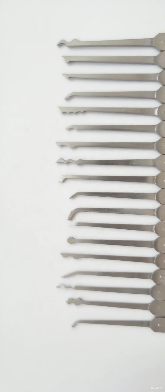 Set di prelievo di serrature professionali per fabbro Strumenti essenziali per la modalità di sblocco delle chiavi dei fabbri qualificati