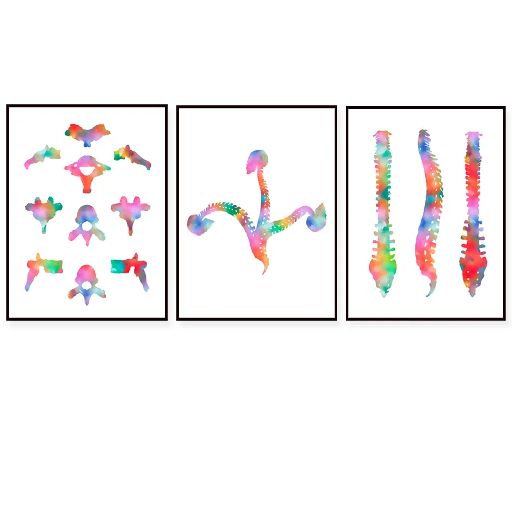 （Unframe 3PCS）-Spine watercolor print set vertebrae anatomy art medical poster chiropractic clinic wall decoration plastic su