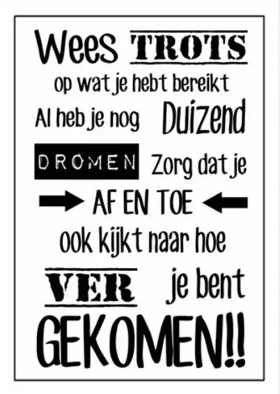 Dutch Inspirational Quotes Nederlands Art Film Print Silk Poster Home Wall Decor 24x36inch