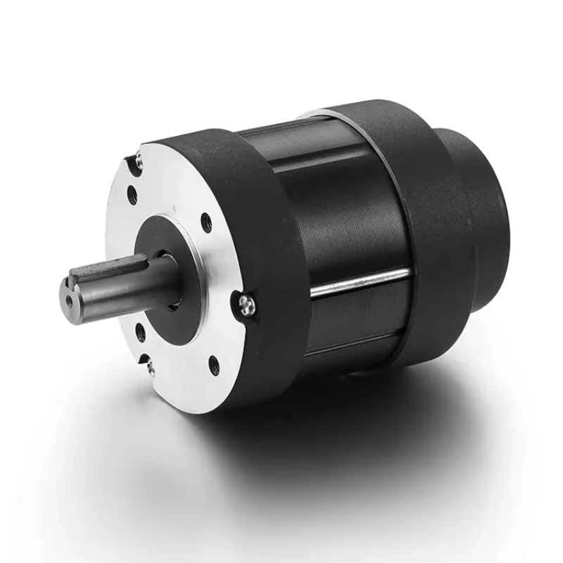 Customized High Torque Brushless Motor Auto Gate 400w 200 Amp Electric Vehicle Bldc Servo Motor