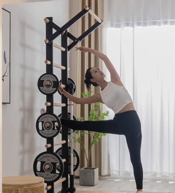 Versatile Indoor Home Workout Total Body Strength Training Fitness Equipment Steel Swedish Wall Ladder Bars Set with Pull Bar