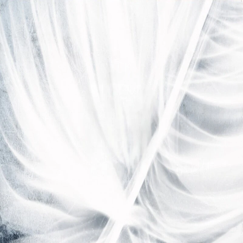 MU9024 Frisse en eenvoudige tv-woonkamerachtergrondmuur in Scandinavische stijl met veren