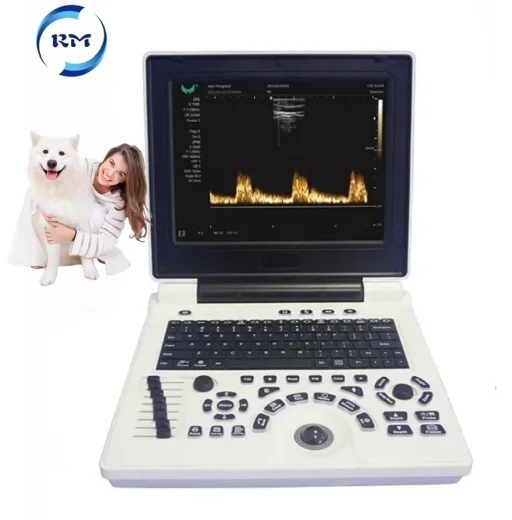 Rayman PW Vet Veterinary Animals Use Ultrasound Scanner Laptop Portable Ultrasound Echo Scanner Ultrasound Machine