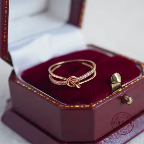 Elegant Artistic Dense Inlaid Zircon Knot Double Layer Ring For Women 925 Sterling Silver Creative High-Grade Rose Gold Jewelry