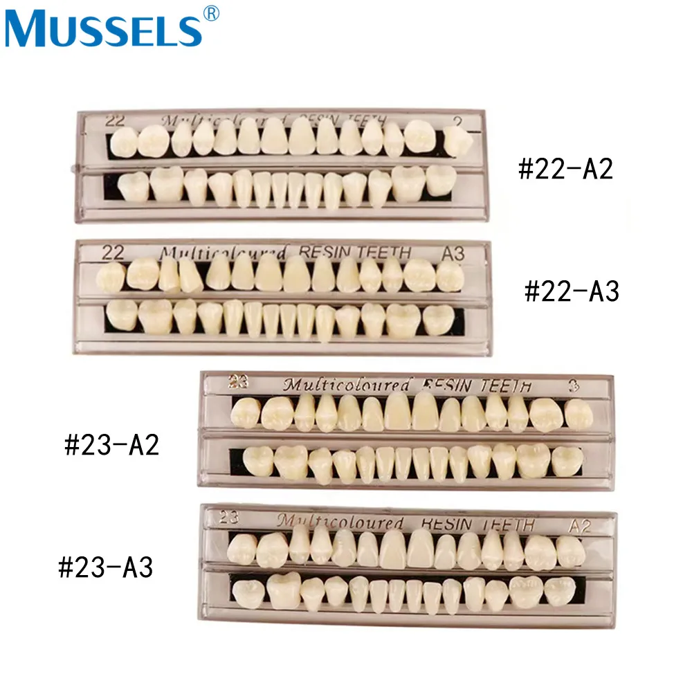 28 Uds. De dientes dentales de resina acrílica, juego completo de diente falso, modelo de enseñanza sintético, sombra A2 A3, superior e inferior para Halloween