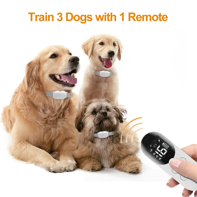 Imagem -05 - Magnetic Carregamento Dog Training Nylon Collar com Vibração 300 Medidor Ip68 Impermeável Controle Remoto Tela Lcd Trainer 1pc T200