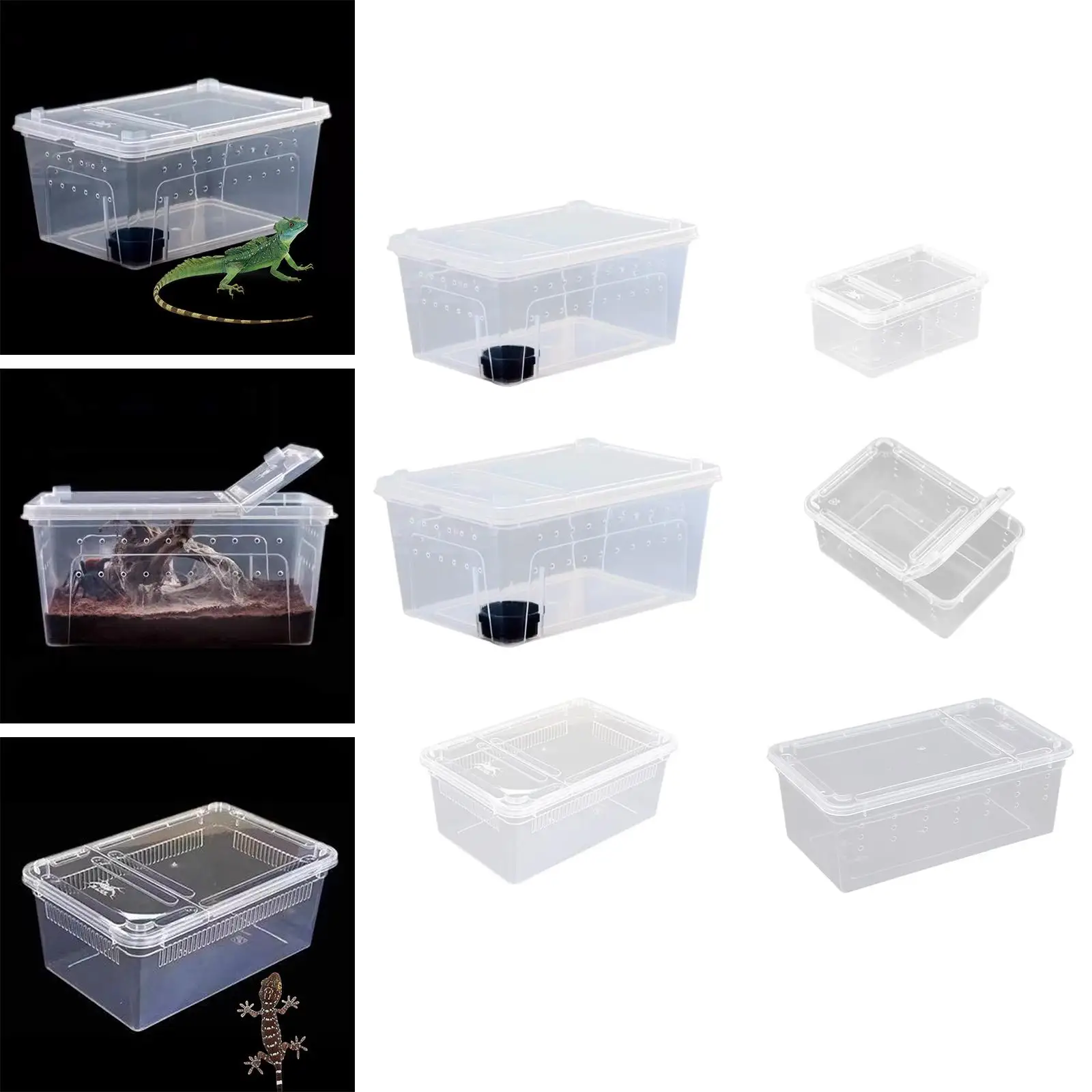 Reptile Feeding Box…