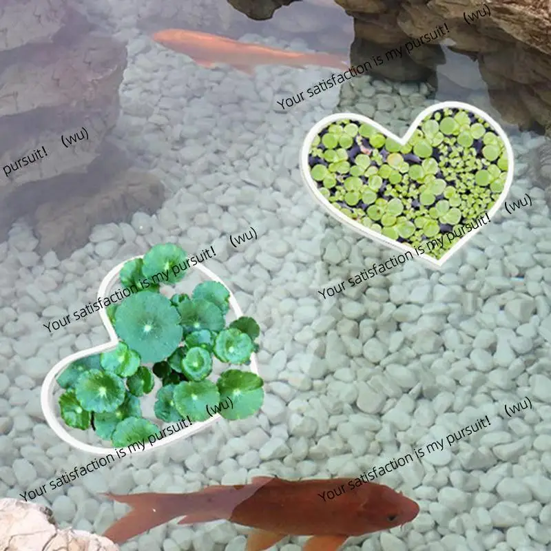 Aquarium Floating Plant Rings Fish Feeding Rings Heart Shape Floating Plants Holder Pet Supplies 5pcs