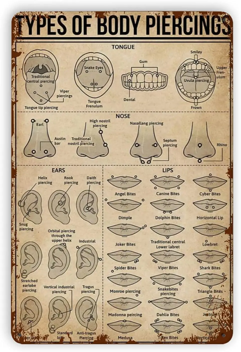 Connaissance des piercings en métal 18/signes, types de piercings corporels, peinture rétro en fer 18/signe, cuisine, garage