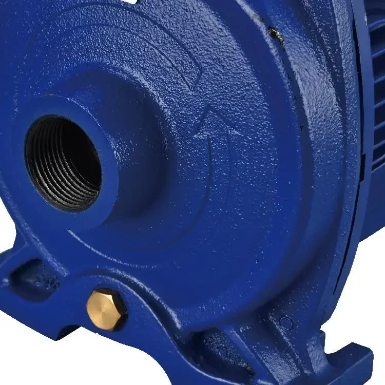 Pompa acqua centrifuga SALI CPM158 750W