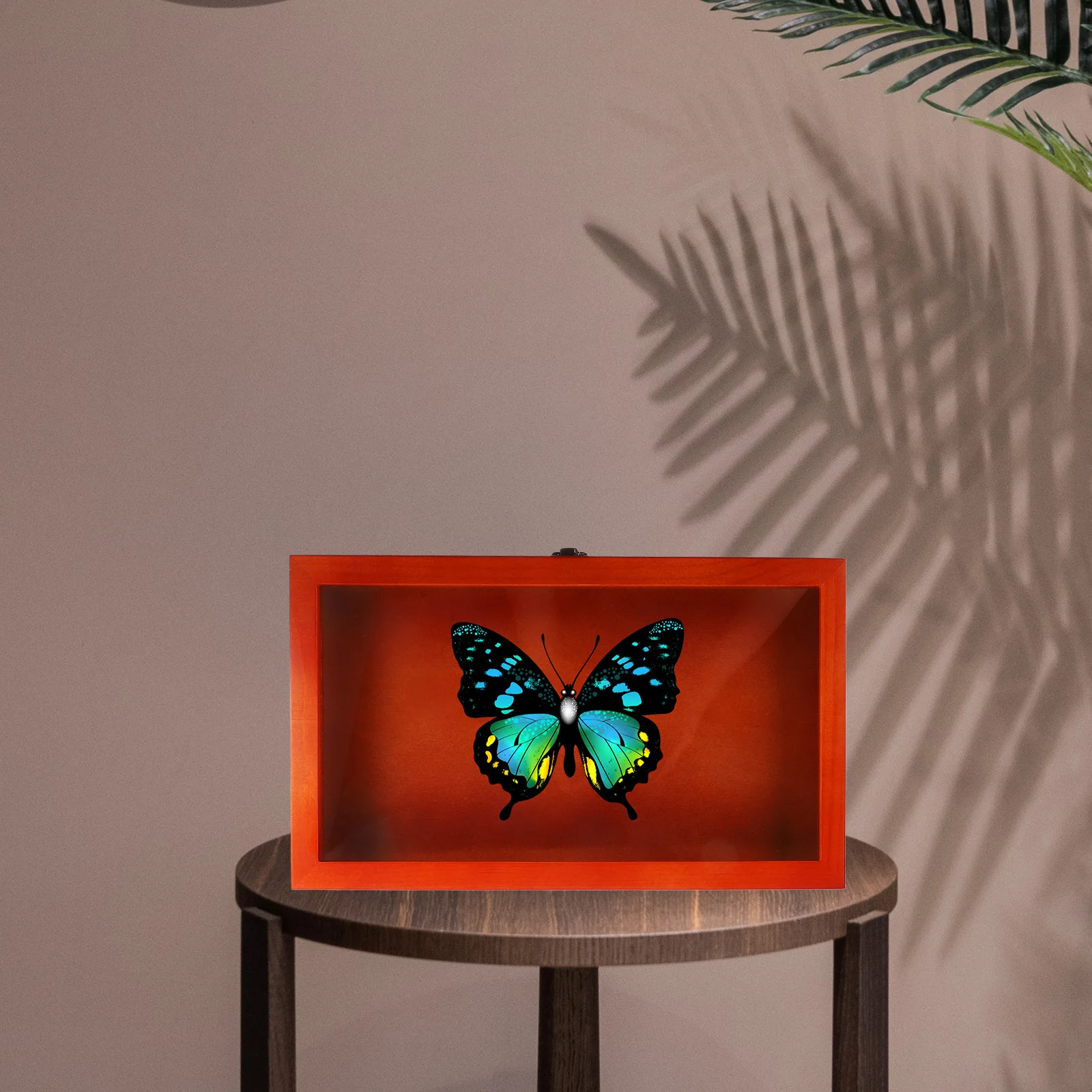 

Retro Wooden Box 38x22x5.5cm Long Rectangle Storage Display Case Vintage Specimen Insect Dried Flower Jewelry Boxes