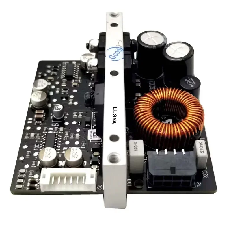 Imagem -06 - Amplificador de Potência Digital Dlhifi Icepower 250w Conexões Módulo Icepower250a Mono Profissional Hifi Amp Board