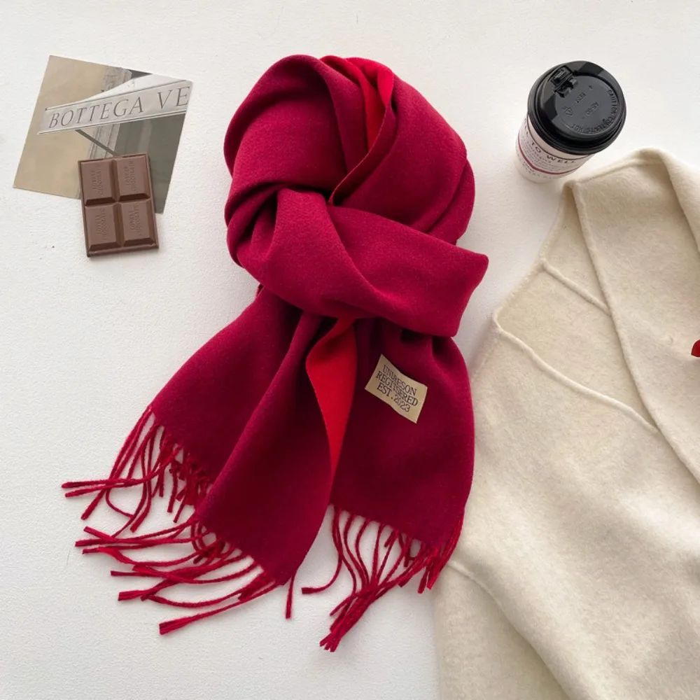 Korean Style Tassel Imitation Wool Scarf Two-sided Warm Cashmere Shawl Multicolor Thicken Winter Long Shawl Autumn Winter