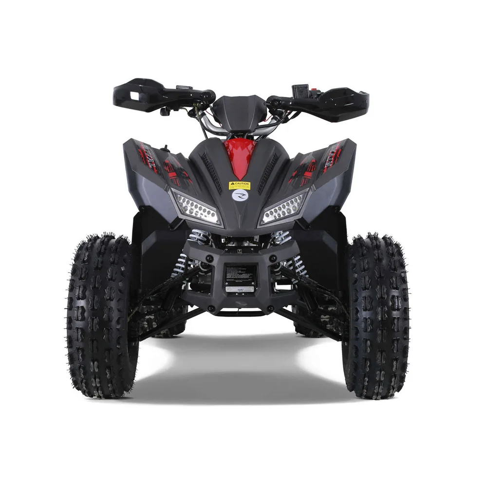 Tao Motor Atv 110 Utv 1000 Cc 4 Door Front Drum Brake New Design Sport 5AH Peace Sports Kids Automatic 125CC 12V 125cc Quad Bike