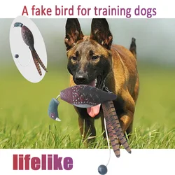 Pet Dog Training Fake Duck The Bird Dummy Teaches Mallard Waterfowl Game Retrieval Duck Bite Chewing Toys Perfect Size For All