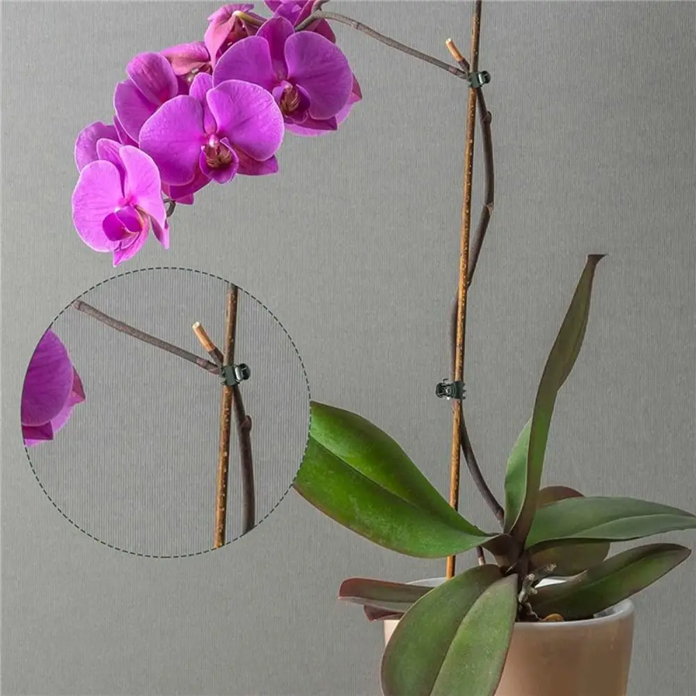 100Pcs Orchid Flower Support Plant Clips Supplies Garden Tools Vine Grafting Grafting Clip 6-Claw Plastic Butterfly Clamp