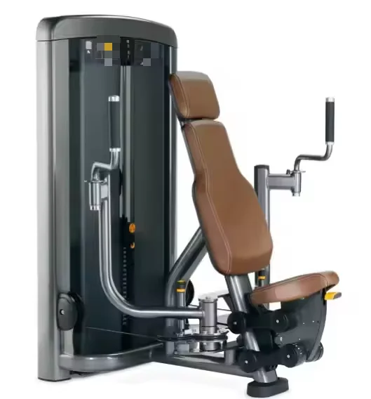 

High Quality Commercial Gym Fitness Equipment Hot Steel for Pet Exercise