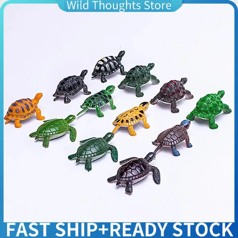 

Tortoise Statue Turtle Figurines Miniature Figurines 20Pcs Realistic Turtle Statue Home Decor Kids Favor Decorations-[Qahk]