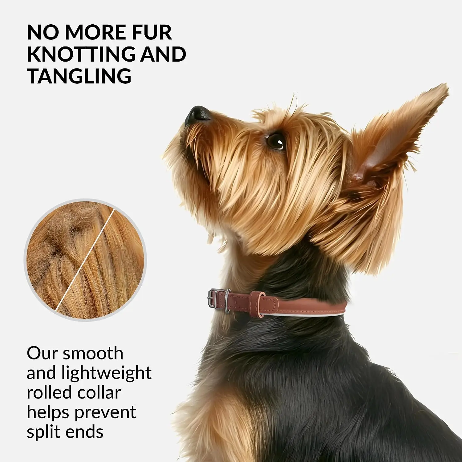 Reflective Leather Dog Collar Tangle-Free 12-15in Cinnamon, Customized