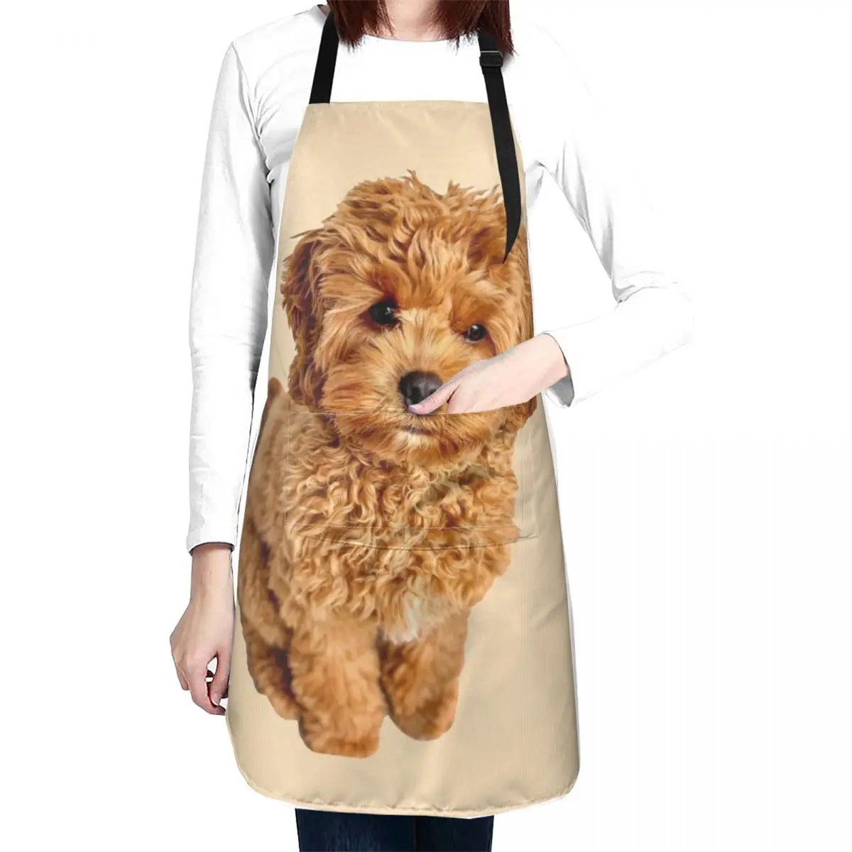 Cavapoo Apron Things For The Home Useful Things For Kitchen For Cooking Apron