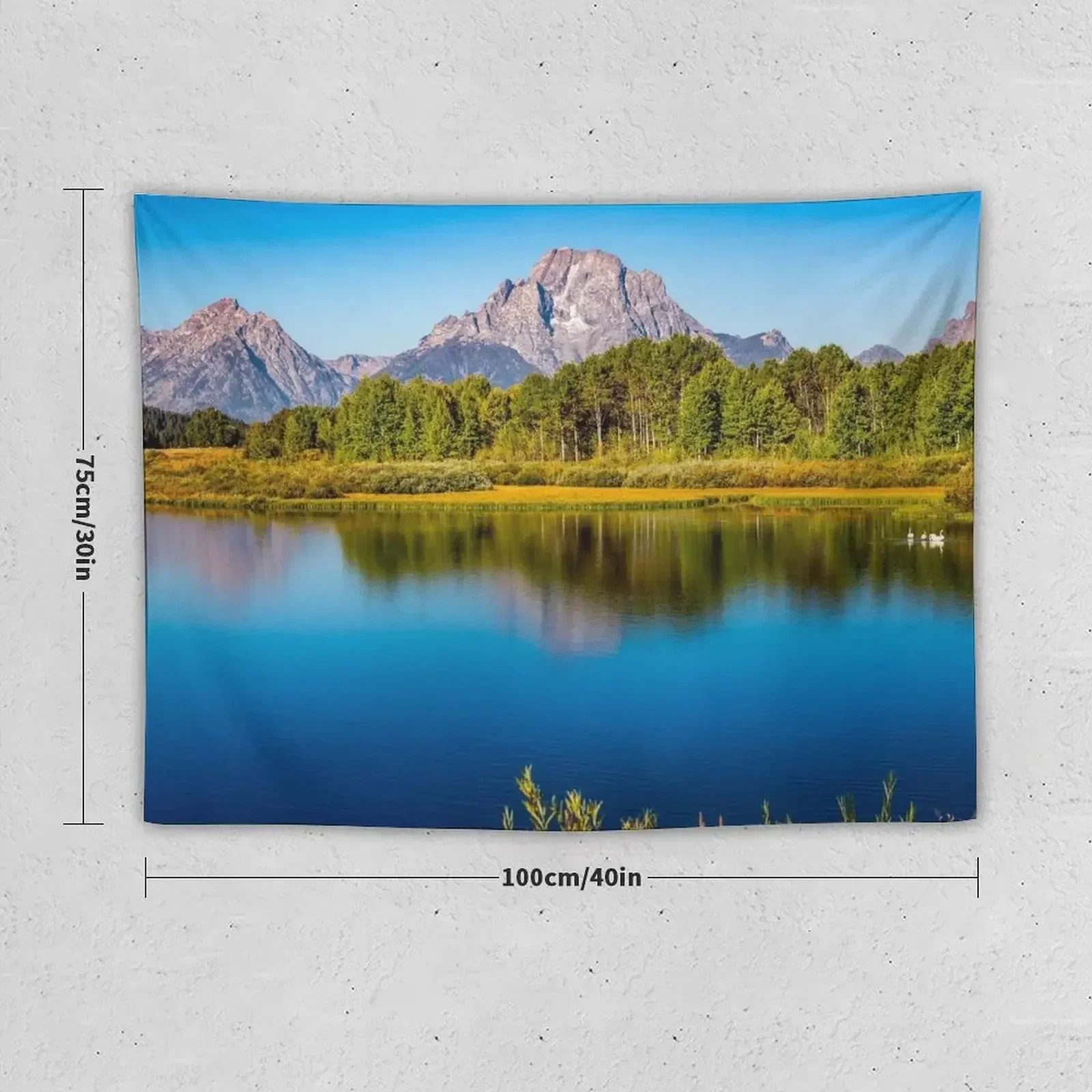 Oxbow Bend - Mt. Moran in the Grand Tetons Tapestry Decoration Aesthetic Decoration For Rooms Tapestry