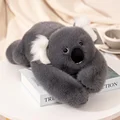 Gray Koala KRQ
