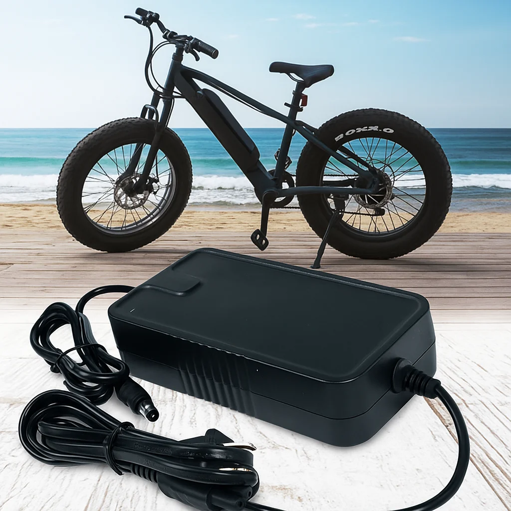 

Freego Electric Bike Charger 54.6V 2A Lithium-ion Battery Pack Charger Intelligent Fast Charging EU Plug With Cooling Fan