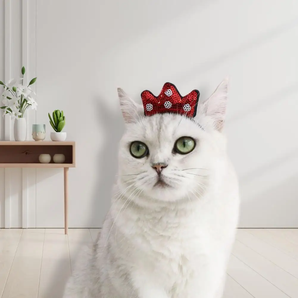 Attractive 4 Colors Cat Dog Crown Headdress Pet Product Friendly to Skin Long Lasting Cat Hair Hoop Pet Accessories