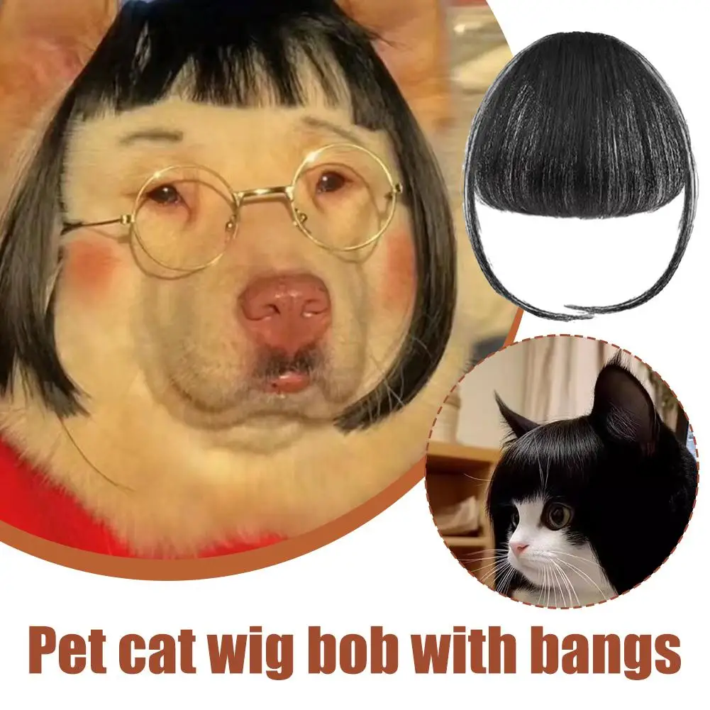 

Funny Pet Wig Trimmable Pet Wig Cosplay Props Prank Decor Funny Accessory Pet H0m7