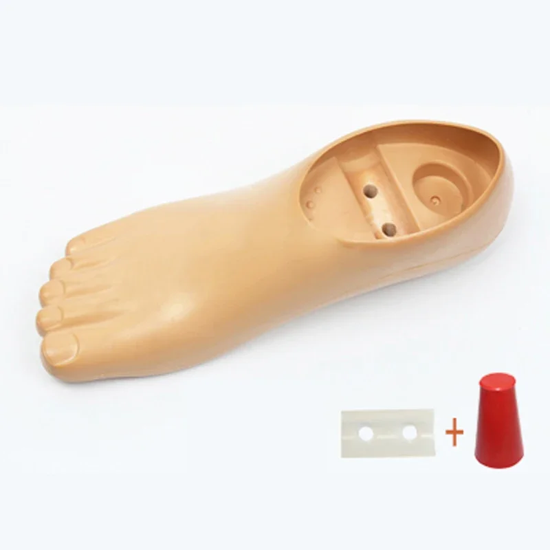 

Prosthetic Foot Plate Ankle Polyurethane Residual Limb Leg Toe Pinky Replacement Double Hole Stump Accessories 21-27cm