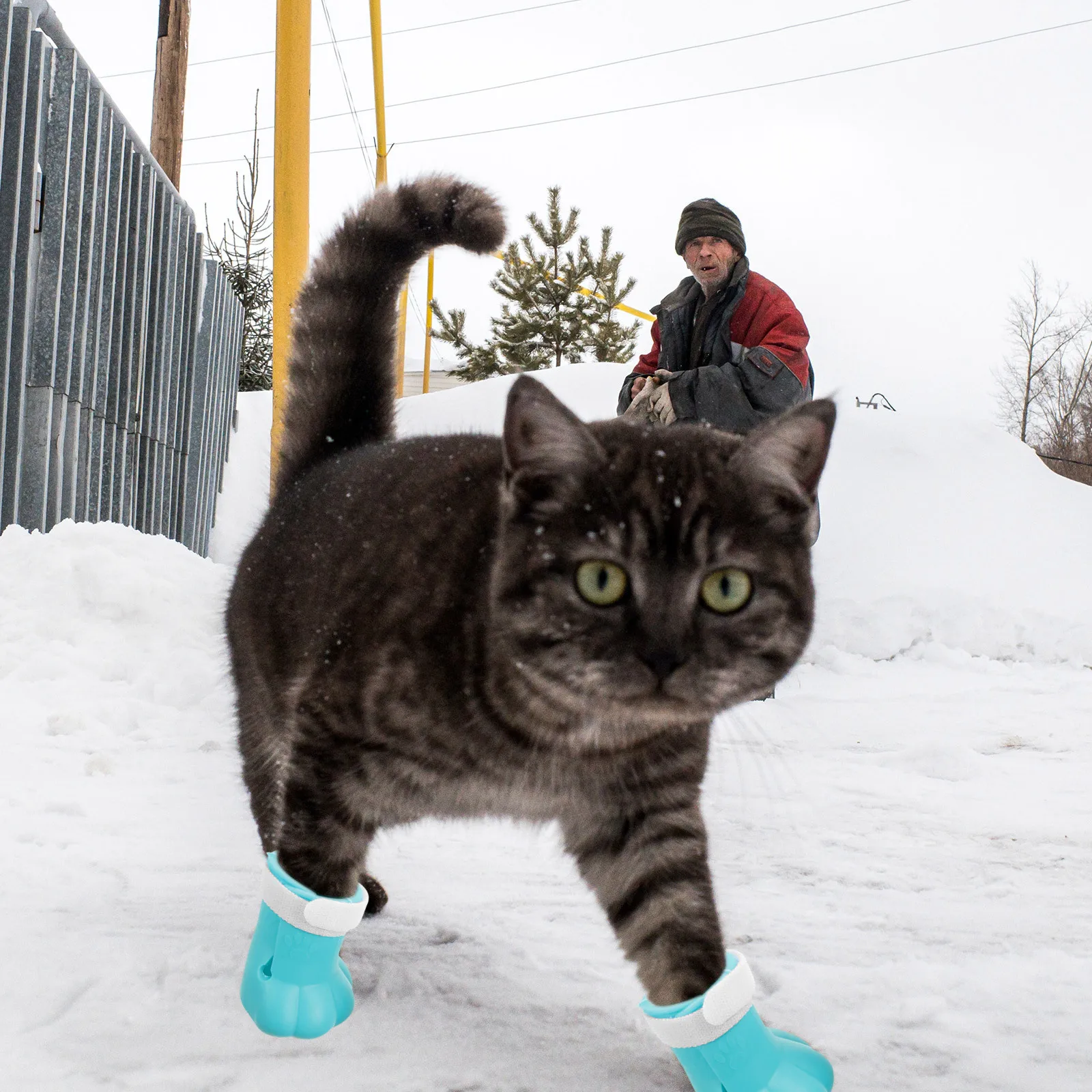 

4pcs Pet Foot Covers For Cats Silicone Anti-Scratch Cat Shoes Adjustable Paw Protectors Grooming Supplies Cat Booties