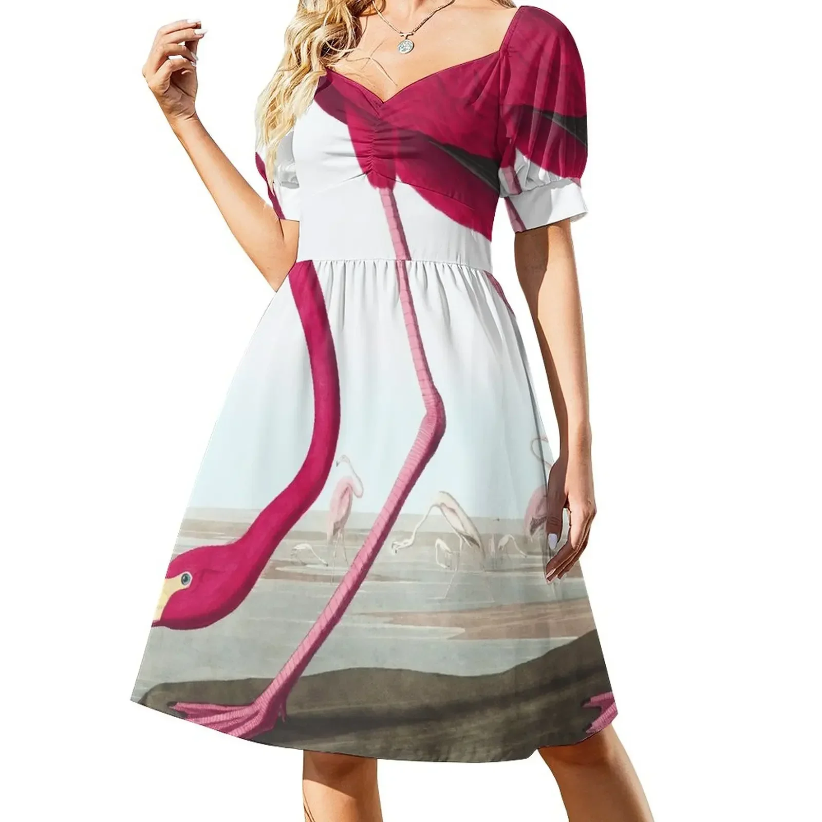 

American Flamingo - John James Audubon Sleeveless Dress beach outfits for women chic and elegant evening dress Dress