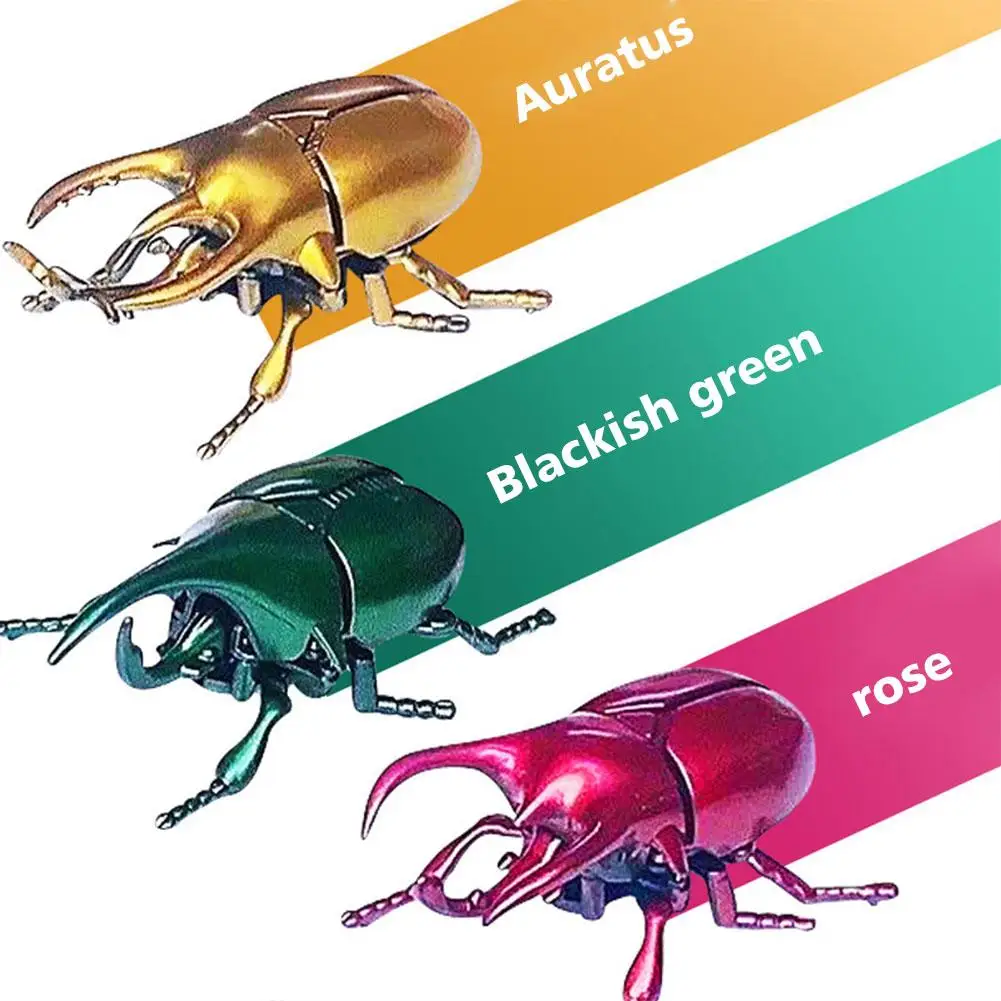 Wind Up Beetle Model Toys Fake Realistic Insect Figures Collection Clockwork Toy Science Educational Learning Toys for Kids