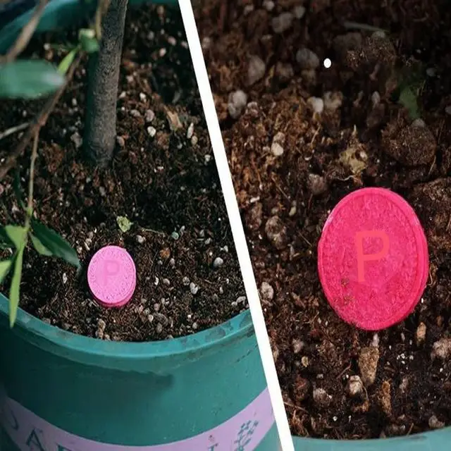 

100 г садовые универсальные таблетки с медленным выпуском, органическое удобрение, растения, цветы, азот, фосфор, калия, медленный выпускной агент