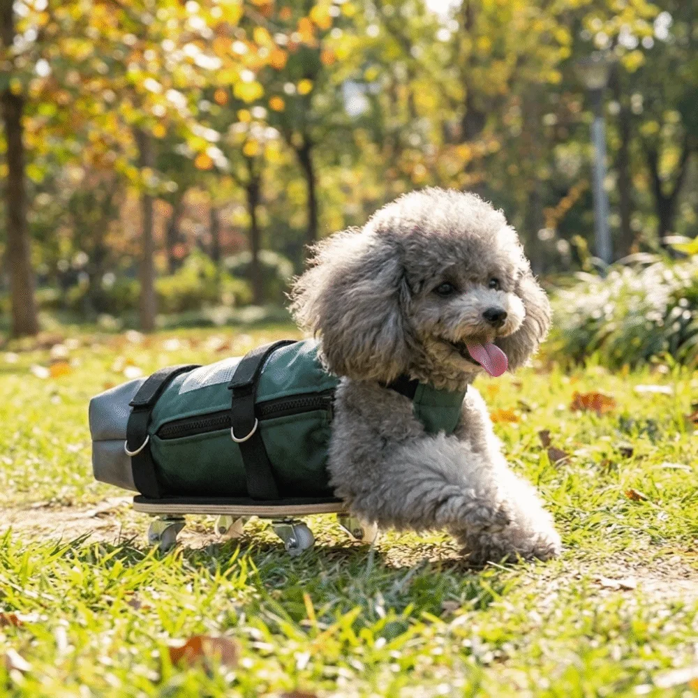 Breathable Pet Towing Bag Pulley Car Wear-Resistant Comfortable Dog Wheelchair Adjustable Strap Dog Walking Scooter