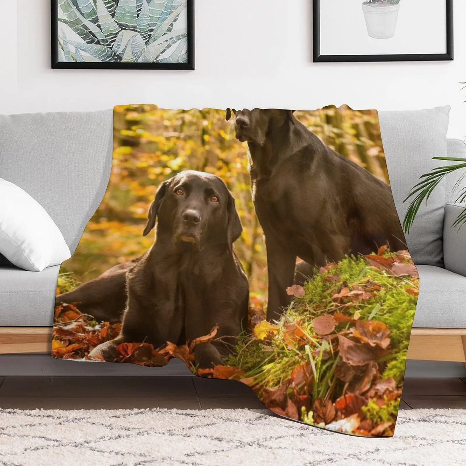 Black Labradors Throw Blanket