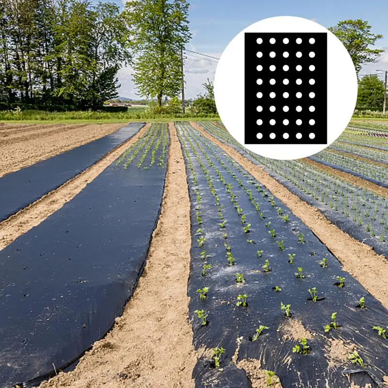 10M 5-Holes Black Plastic Mulch Film Perforated Greenhouse Vegetables Plant Keep Warm Film Agricultural Seedling Moisture Film