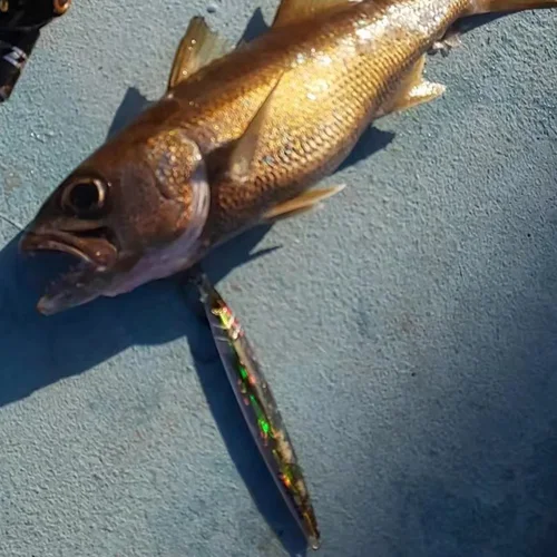 Imagen 2 del producto Jigging en alta mar para agua salada, plantilla de Metal de 40g-200g, señuelo de atún 3D, Jigpara para lubina, cebo duro Mahi Marlin, maqualla, aparejos de pesca para barco