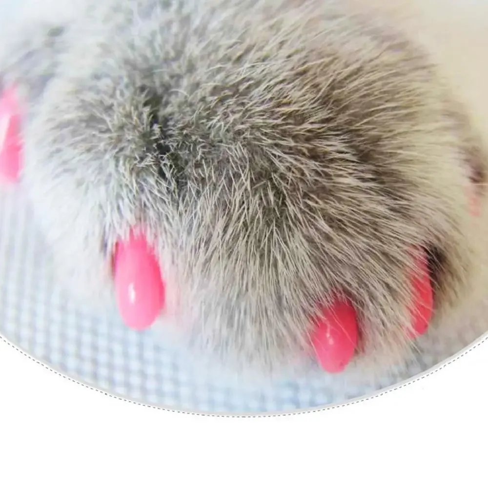 20Pcs Silicone Cat And Dog Anti-Scratch Anti-Scratch Nail Cover Pet Nail Cover Cat And Dog Nail Cover Pet Supplies
