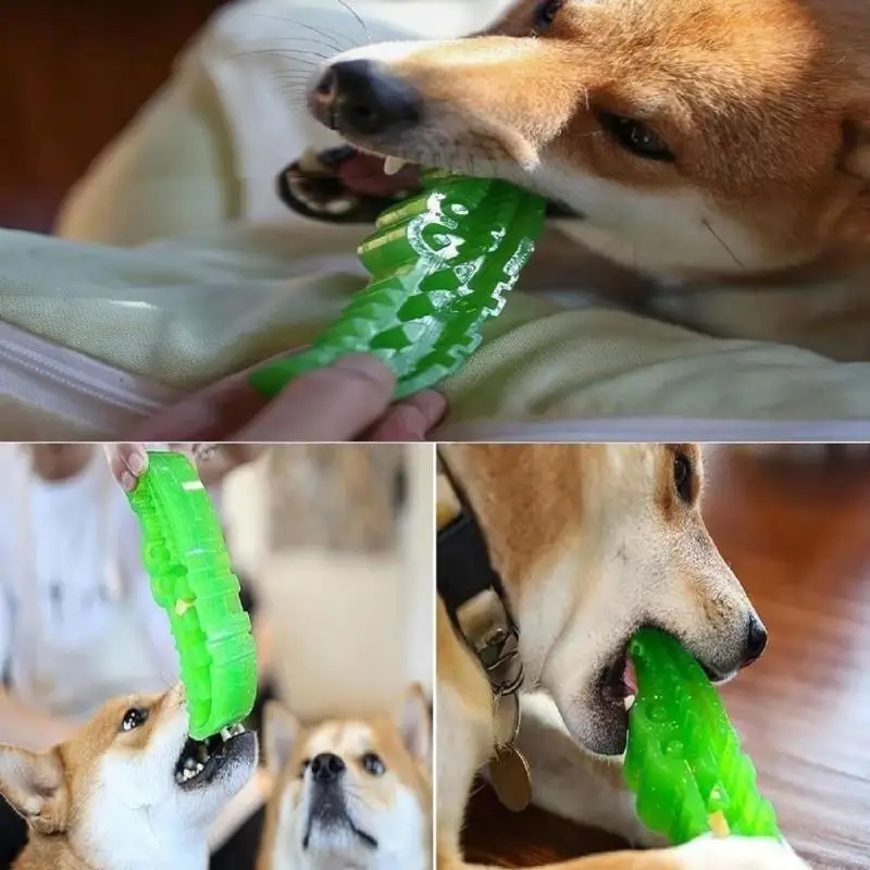 Robust Chew Tool Organisms Promotes Gentle Feeding And Reduces Strain Inside Fun J0MC