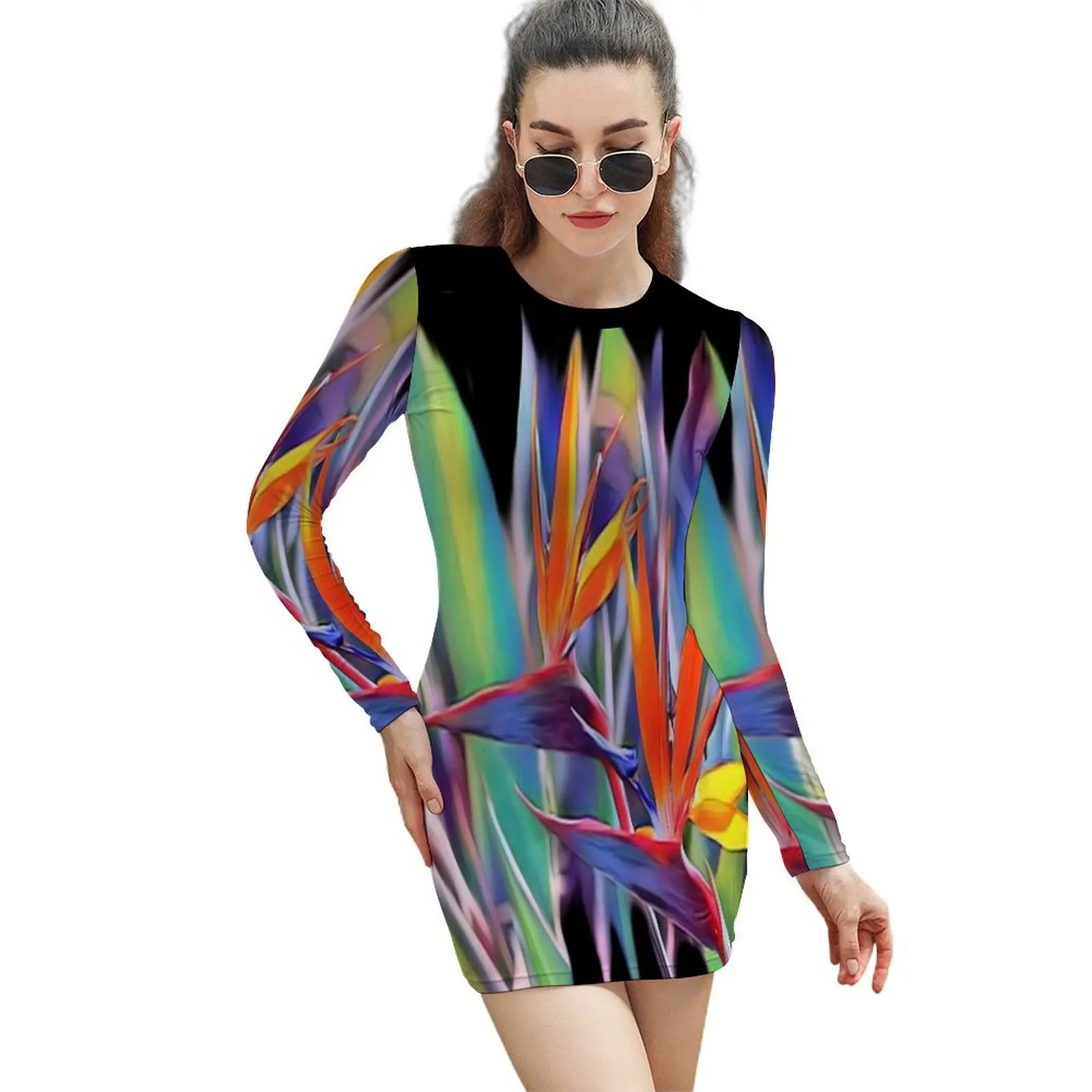 

Bold Bird of Paradise Graphic Long-Sleeved Sheath Dress bandage dress Party dresses