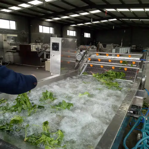 산업용 완전 자동 공기 거품 야채 세탁기, 식품 및 과일 세탁기, 100-3000 kg/h