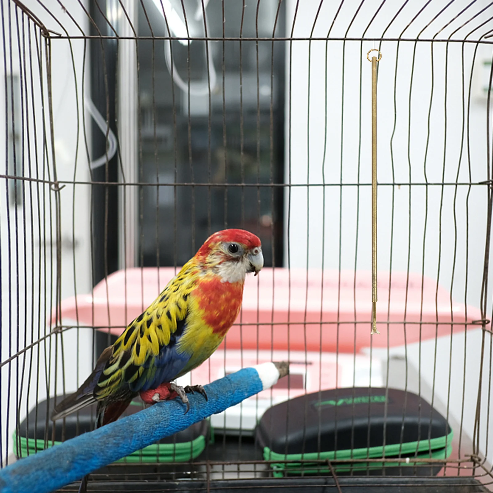 

Guano Cleaning Tool for Bird Cages Heavy Duty Metal Design Long Handle Pet Poop Remover Household Cage Cleaning Accessory