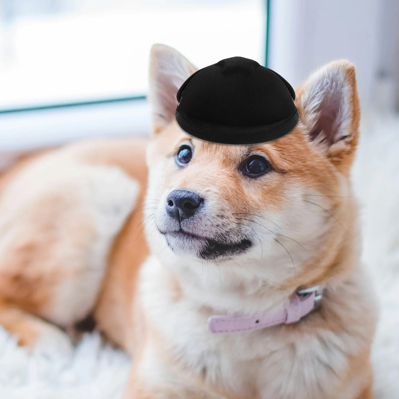 

Pet Motorcycle Adjustable Dog Cat Hat Outdoor Safety Protective Dog Headgear for Parties Small Medium Large Dogs